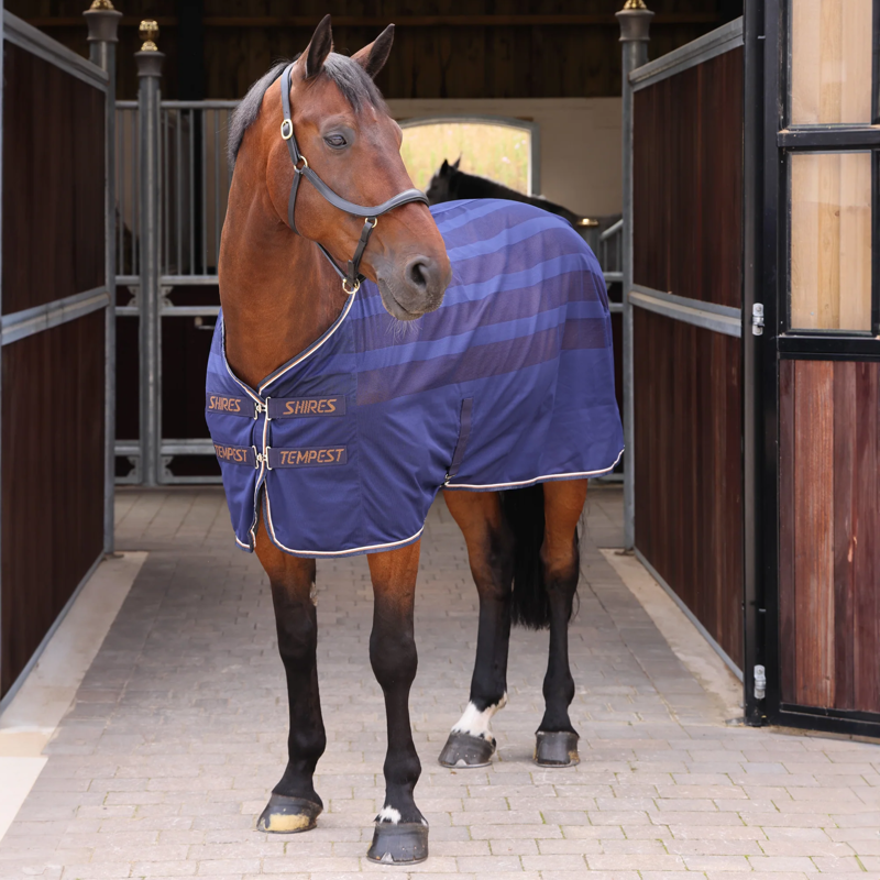 Tempest Original Scrim Cooler Rug in Ink
