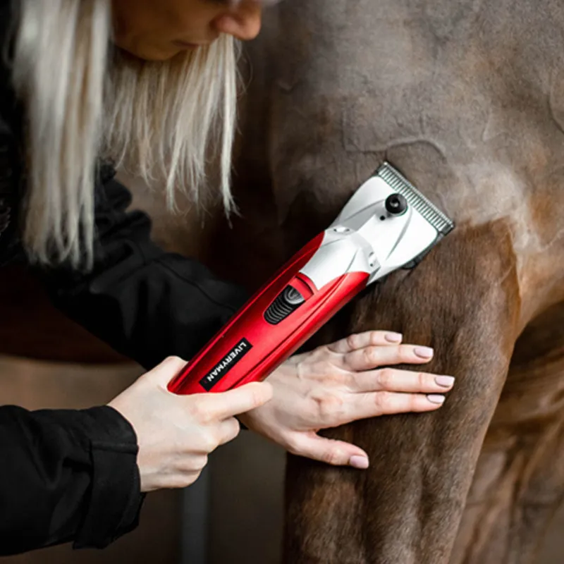 Liveryman Black Beauty Mains Clipper-2