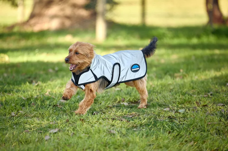 Weatherbeeta Comfitec Reflective Showerproof Dog Coat in Silver