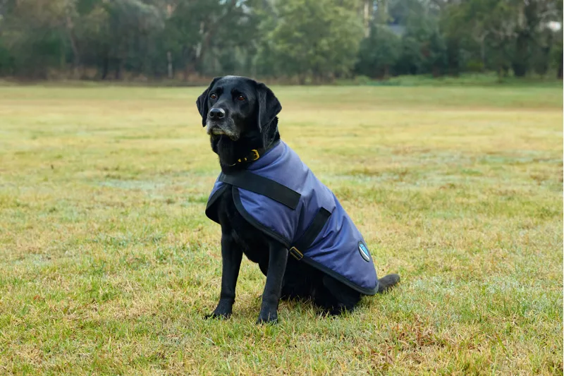 Weatherbeeta Comfitec Classic Waterproof Dog Coat in Navy-1