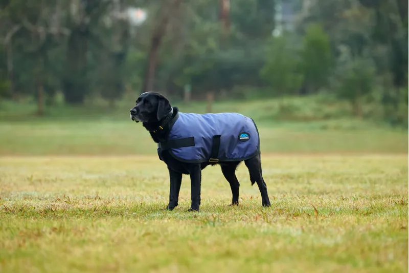 Weatherbeeta Comfitec Classic Waterproof Dog Coat in Navy