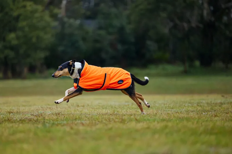 Weatherbeeta Confitec Reflective 300D Deluxe Showerproof Dog Coat in Orange-1