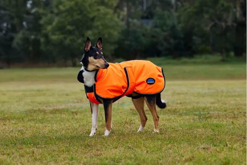 Weatherbeeta Confitec Reflective 300D Deluxe Showerproof Dog Coat in Orange
