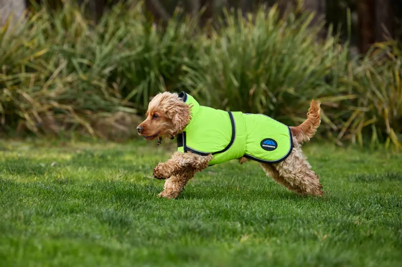 Weatherbeeta Confitec Reflective 300D Deluxe Showerproof Dog Coat in Yellow