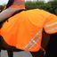 Equi-Flector Mesh Exercise Sheet in Orange
