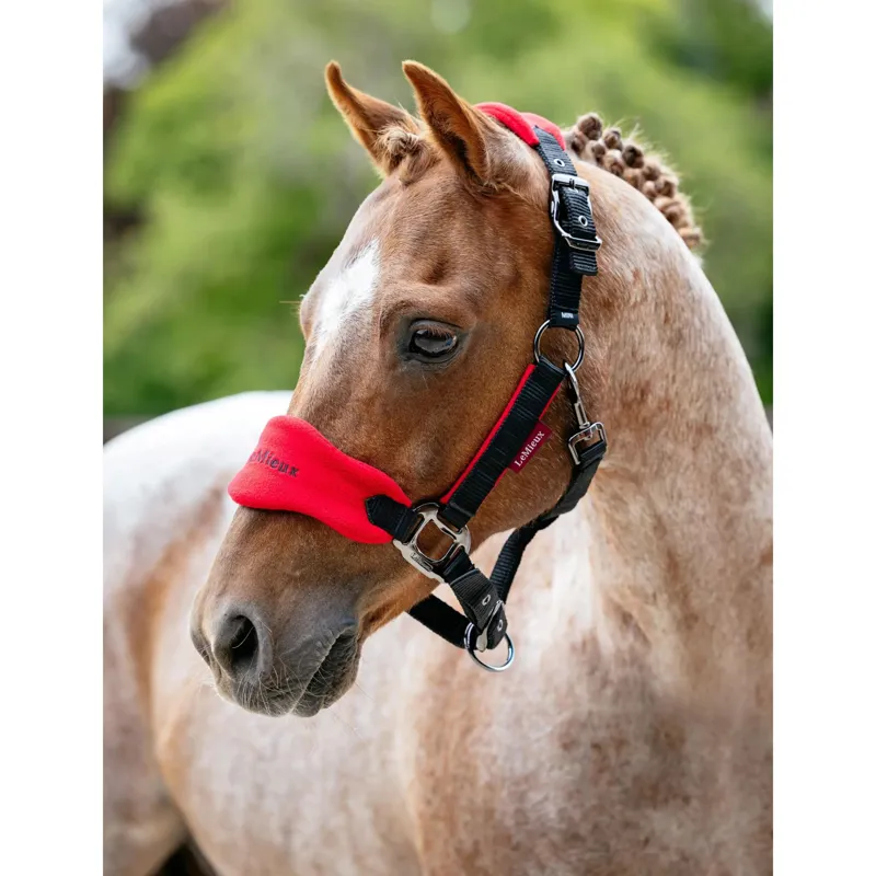 LeMieux Mini Vogue Headcollar and Leadrope in Chilli-1