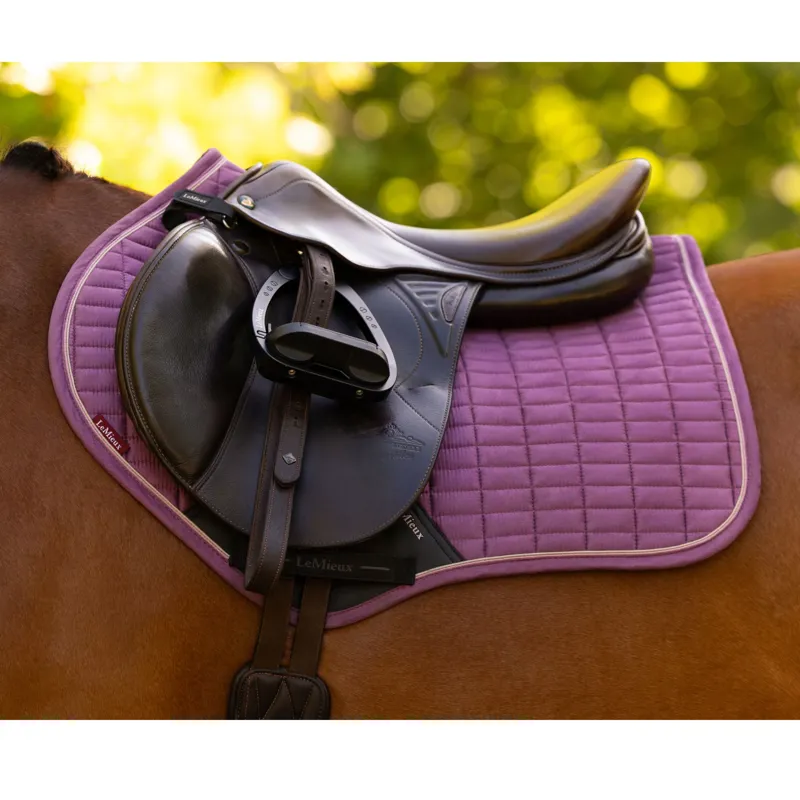 LeMieux Suede Close Contact Square in Mallow-1