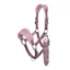 LeMieux Vogue Headcollar and Leadrope in Mallow