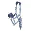LeMieux Vogue Headcollar and Leadrope in Powder Blue