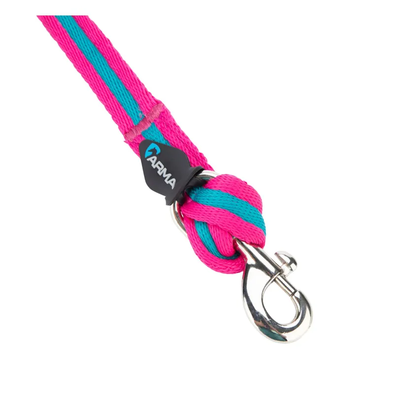 ARMA Cushion Web Lunge Line in 8m/26 Magenta/Dark Cyan-1