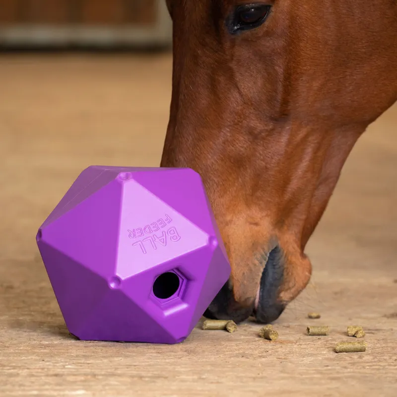 Shires Ball Feeder - Purple -1