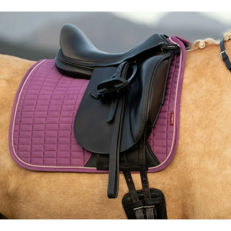 LeMieux Suede Dressage Square in Mallow-1