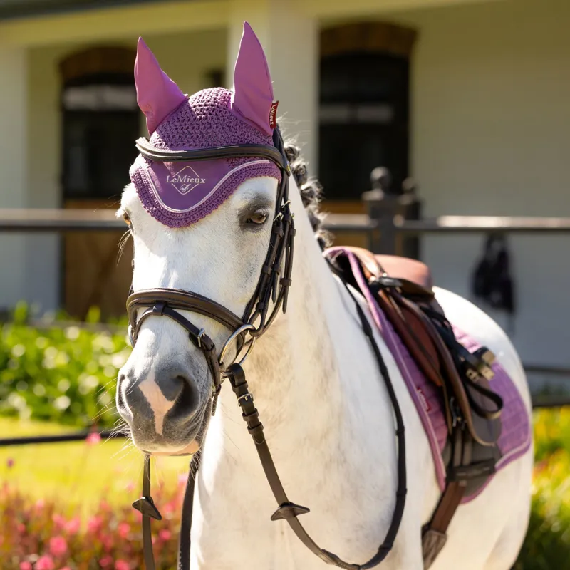 LeMieux Mini Classic  Fly Hood in Mallow-1