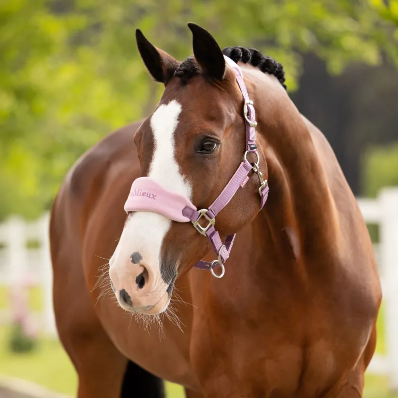 LeMieux Vogue Headcollar and Leadrope in Mallow-1