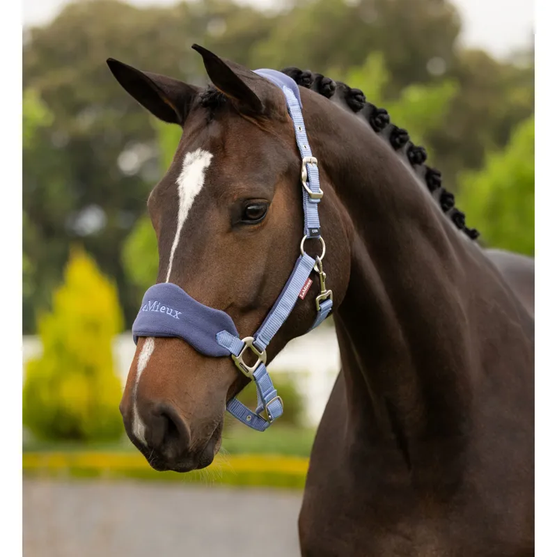 LeMieux Vogue Headcollar and Leadrope in Powder Blue-1