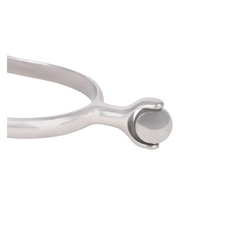 Shires Ladies Roller Ball Spurs in Silver-1