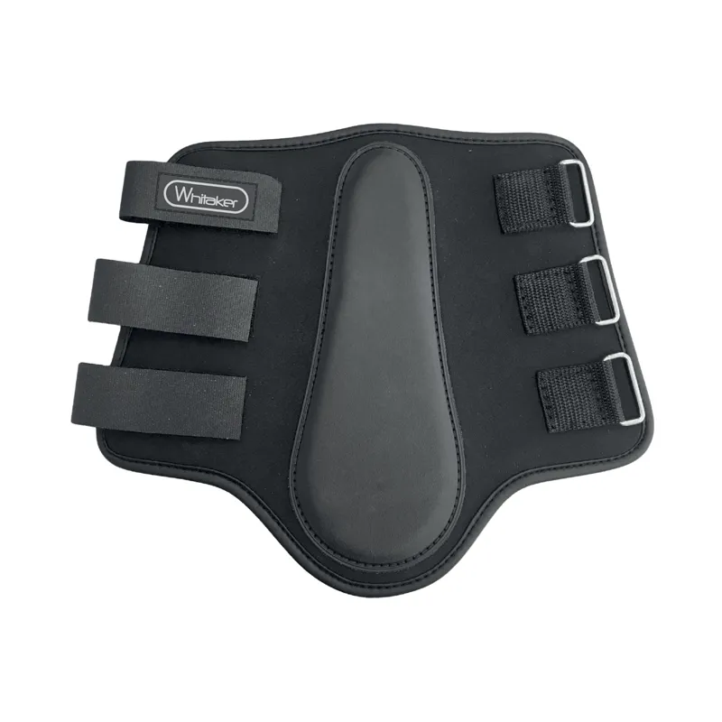 Whitaker Bradford Brushing Boots in Black-1