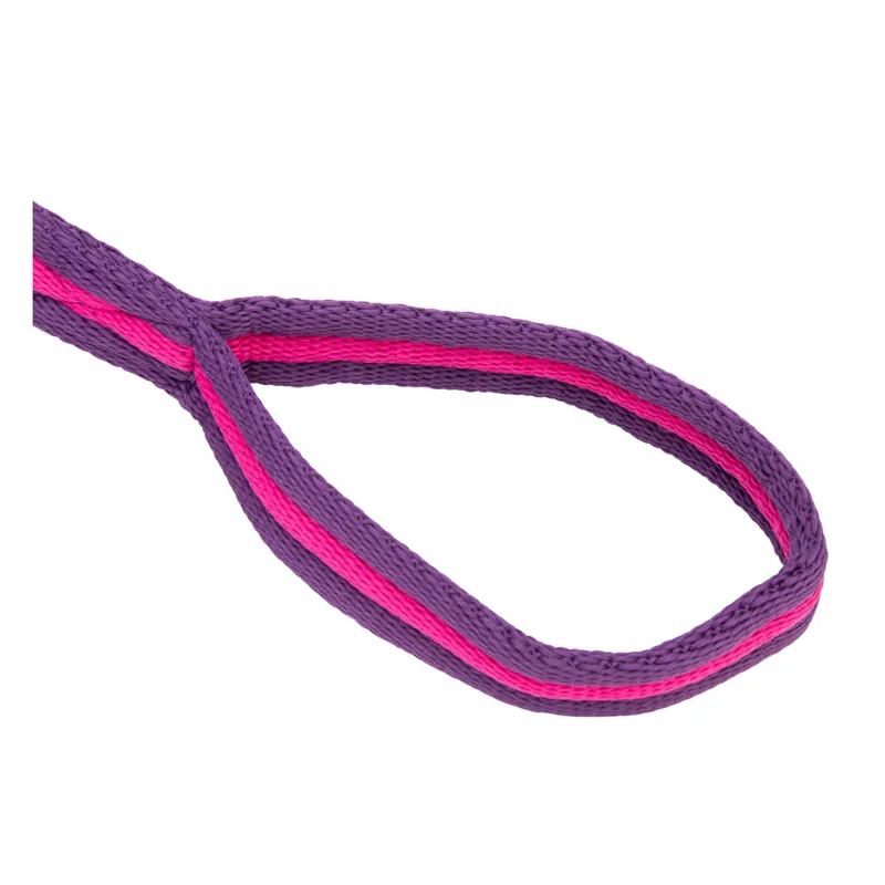 ARMA Cushion Web Lunge Line 8m/26 in Magenta/Plum-2