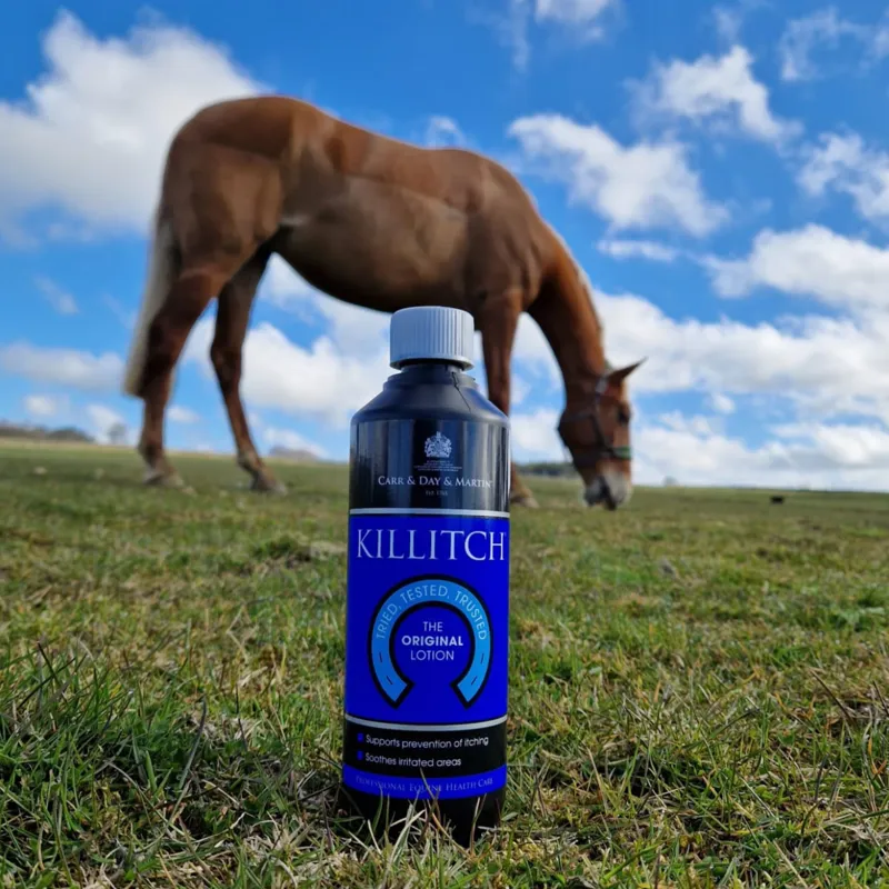 Carr and Day and Martin Killitch 500ml-1