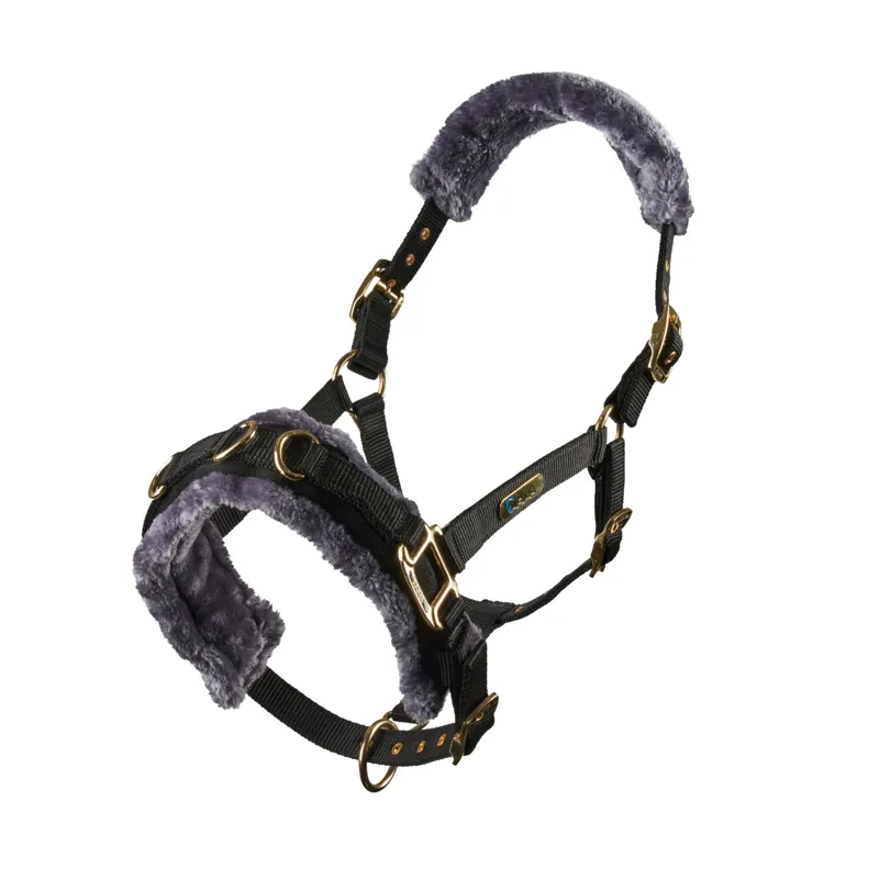 Arma Fleece Lined Lunge Cavesson in Black