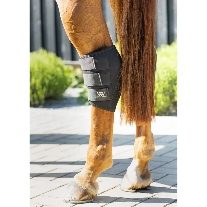 Woof Wear Hock Boots in Black-1