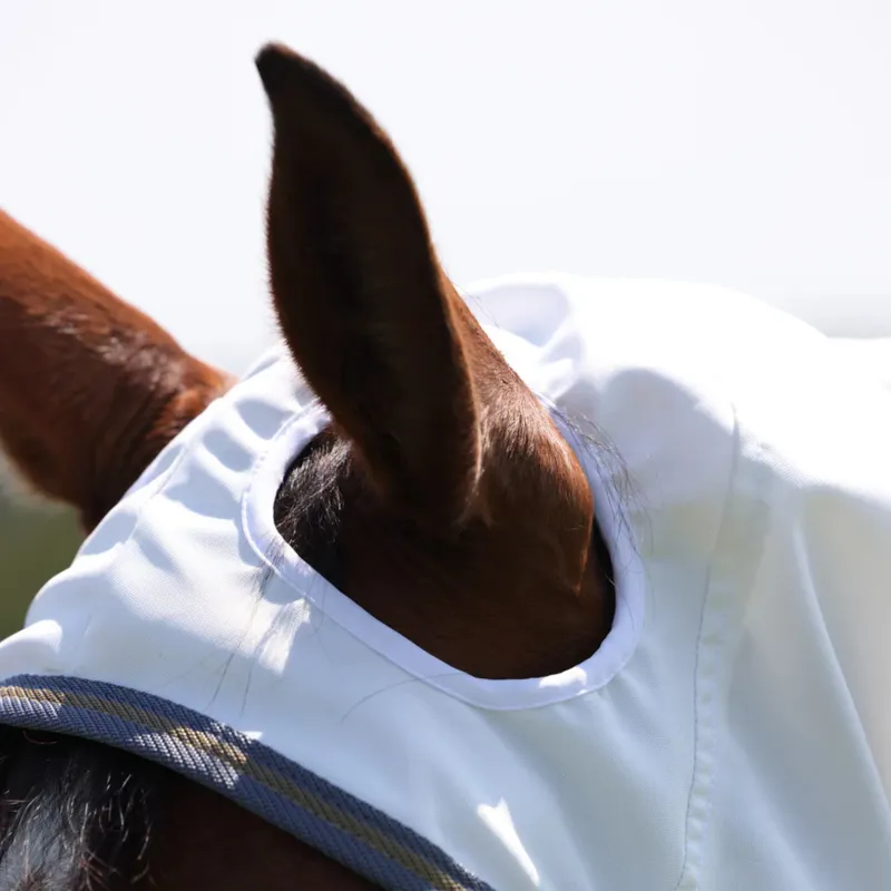 Highlander Plus Sweet-Itch Combo Rug in White/Air Force-3