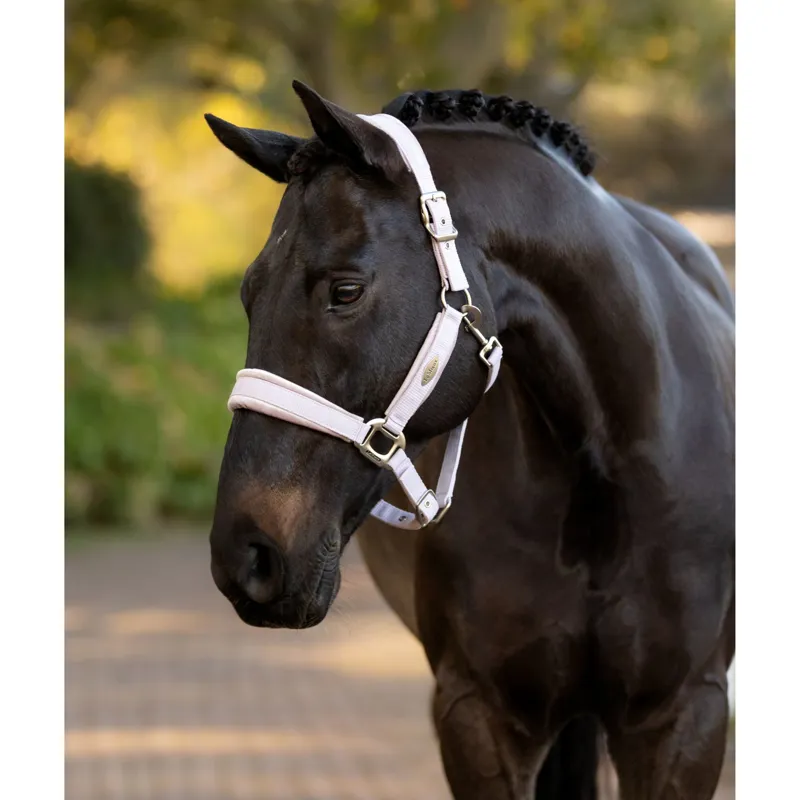 LeMieux Versailles Headcollar in Lilac-1