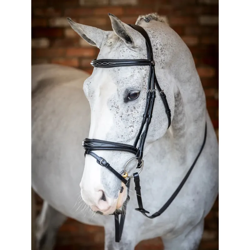 LeMieux Kudos Competition Flash Bridle in Black-1