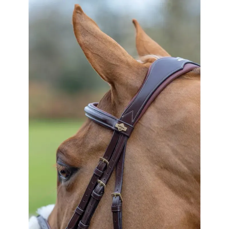 LeMieux Kudos Grackle Bridle in Brown-2