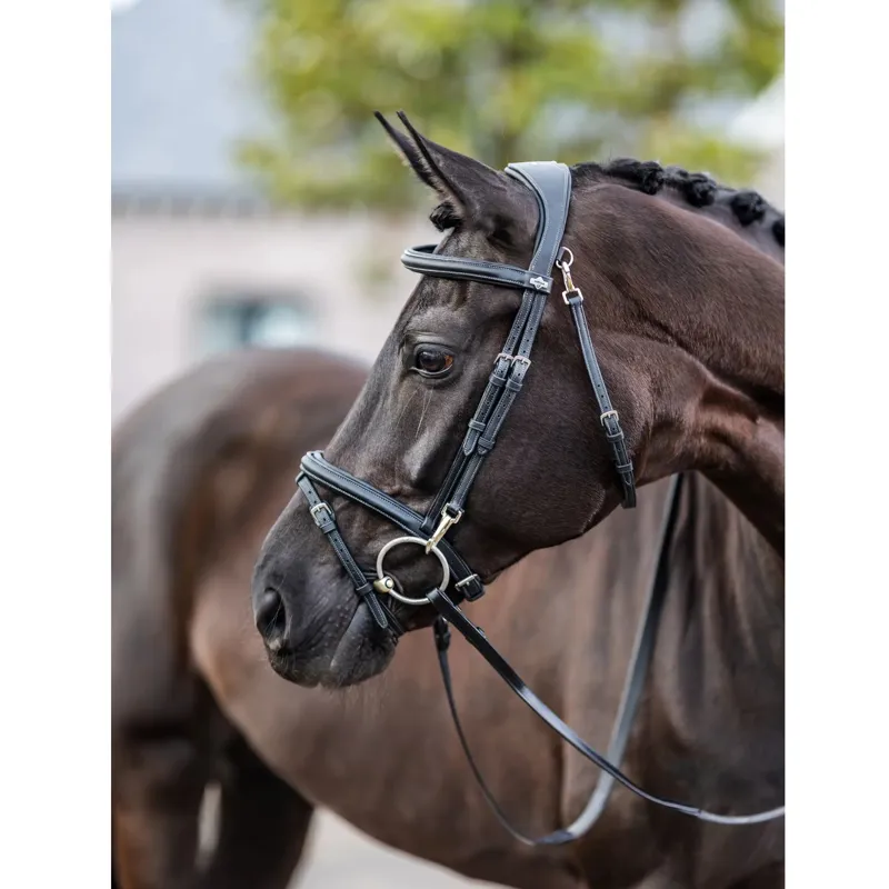 LeMieux Kudos Work Bridle in Black-1