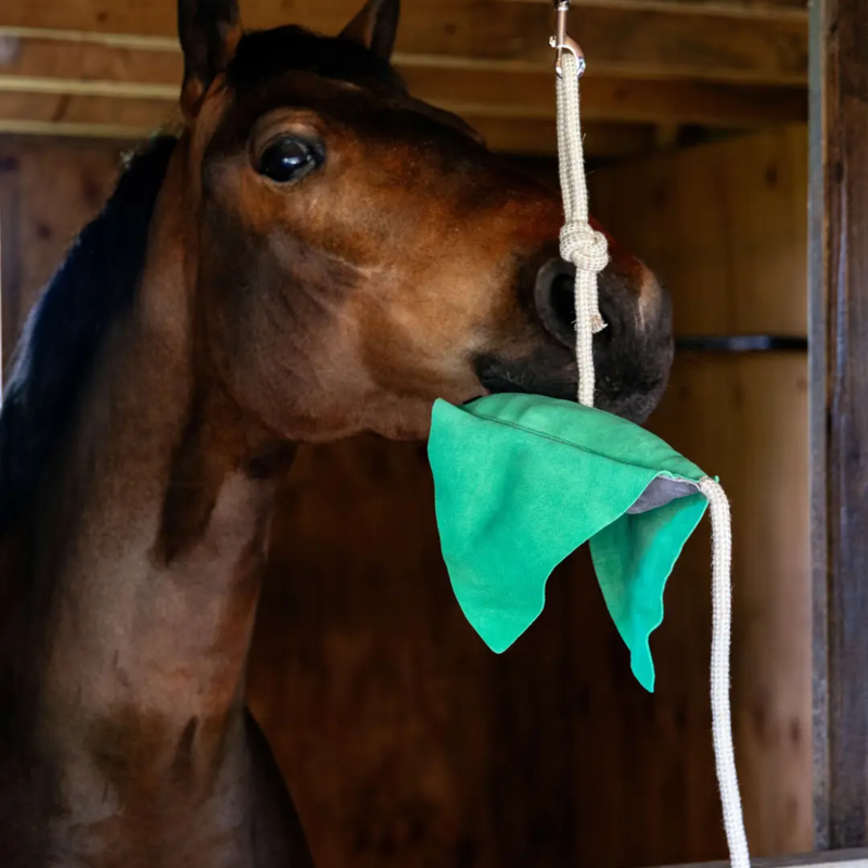 LeMieux Horse Toy Stingray-1