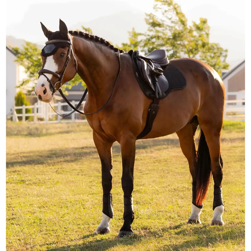 LeMieux Pro Sport Cotton GP Square in Black-1