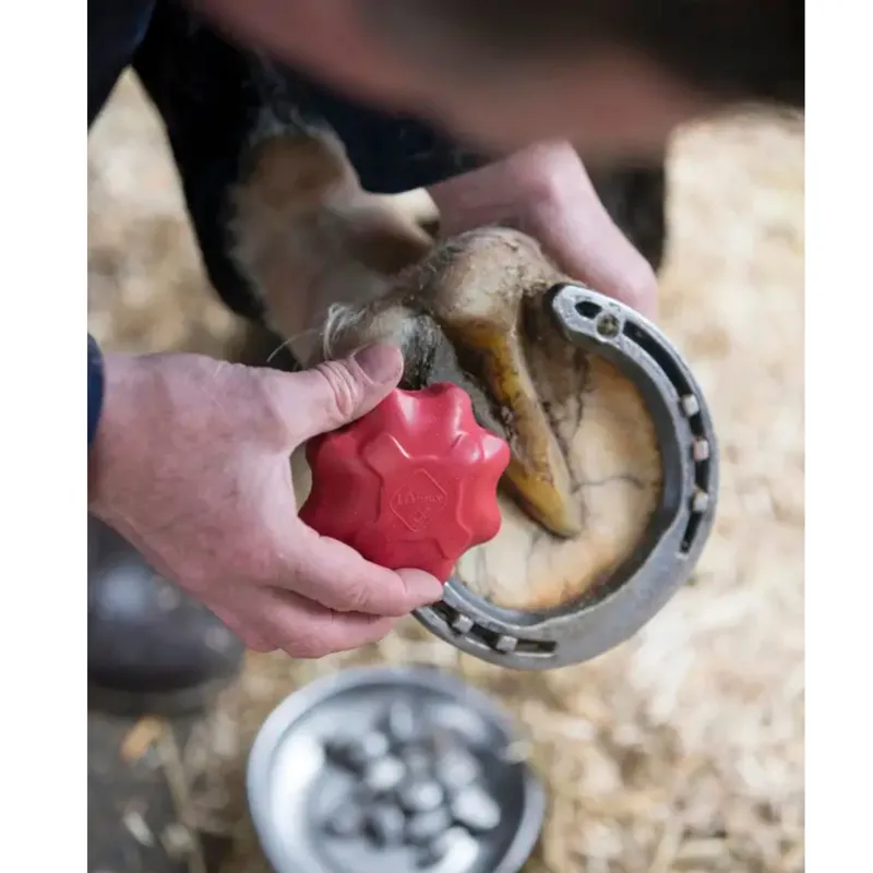 LeMieux Safety Stud Taps in Red-1