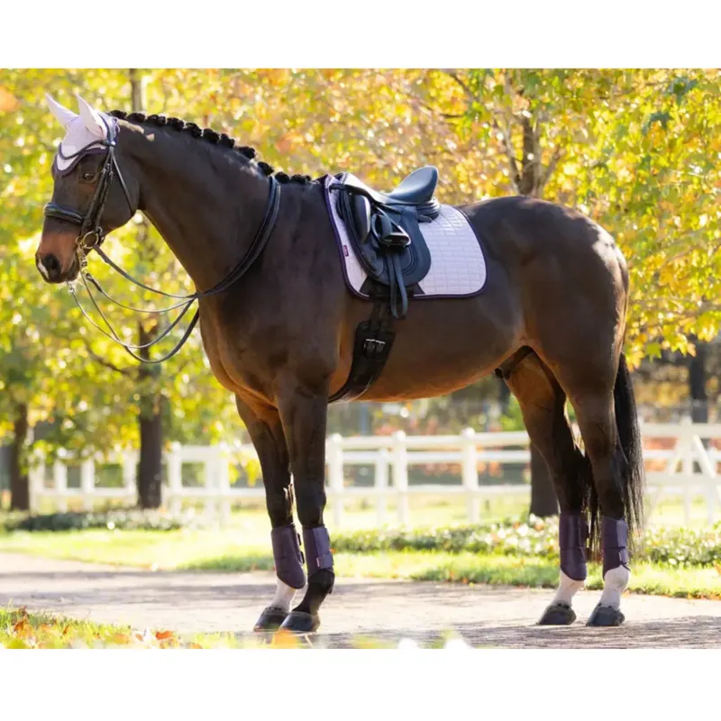 LeMieux Suede Dressage Square in Lilac-1
