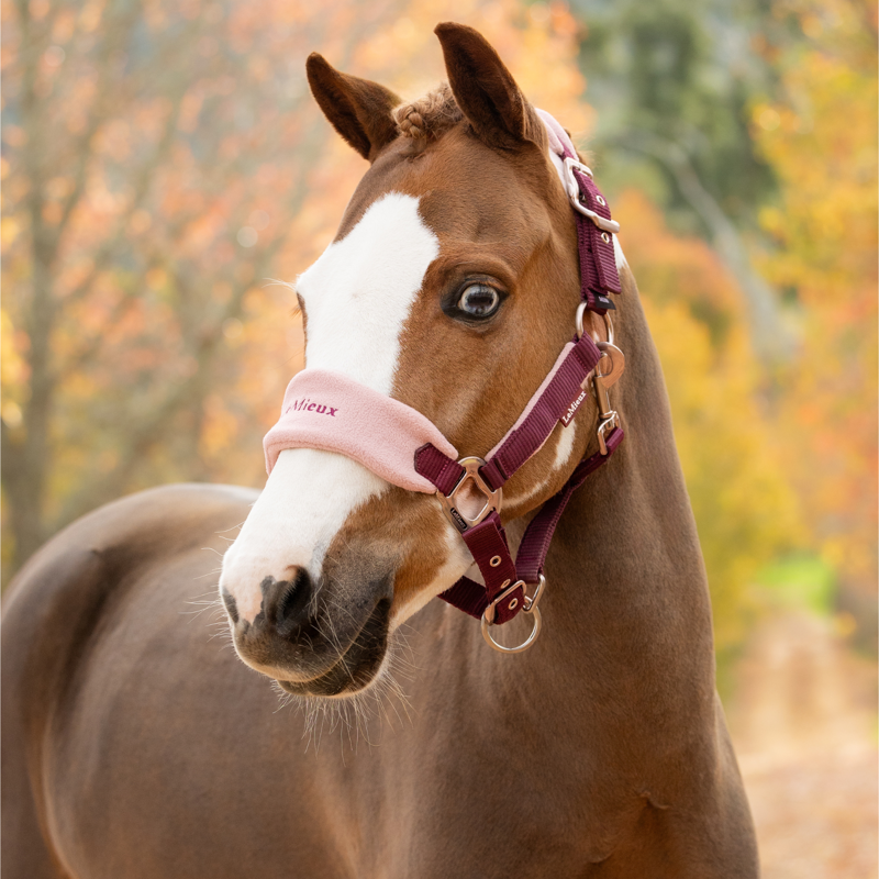 LeMieux Vogue Headcollar and Leadrope in Blackberry-1