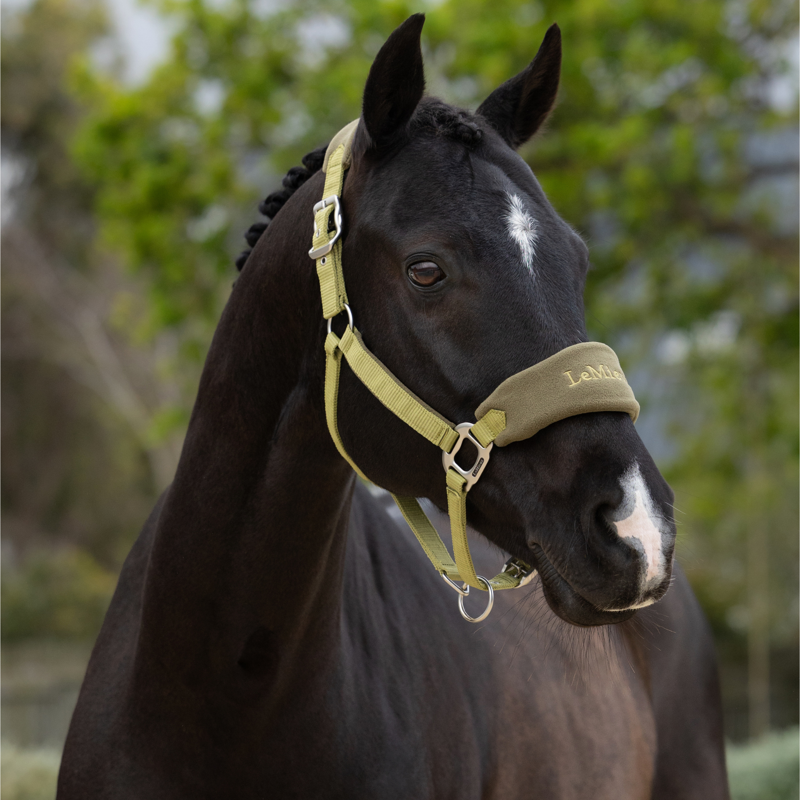 LeMieux Vogue Headcollar and Leadrope in Gooseberry-1