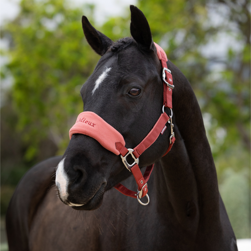 LeMieux Vogue Headcollar and Leadrope in Russet-1