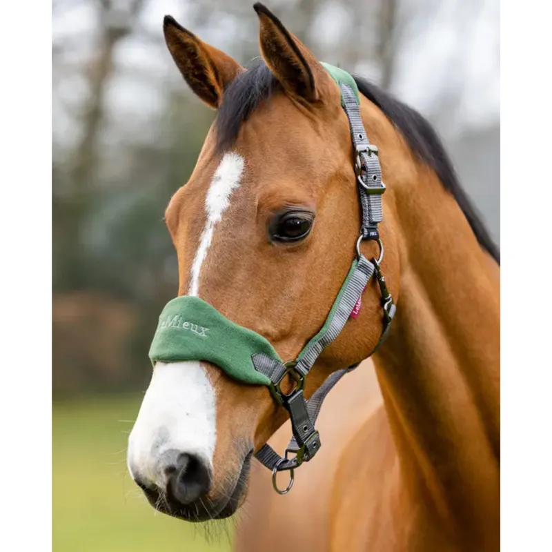 LeMieux Vogue Fleece Headcollar and Leadrope in Hunter Green-1