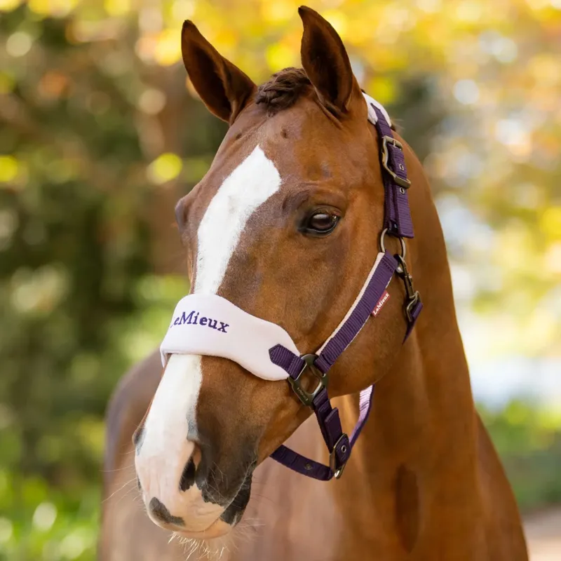 LeMieux Vogue Headcollar and Rope in Juniper-1