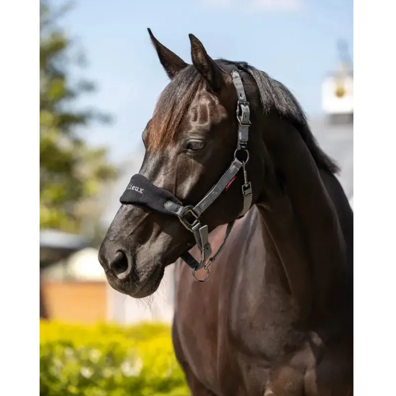 LeMieux Vogue Headcollar and Leadrope in Black and Grey-1