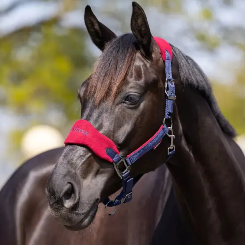 LeMieux Vogue Headcollar and Leadrope in Burgundy and Navy-1