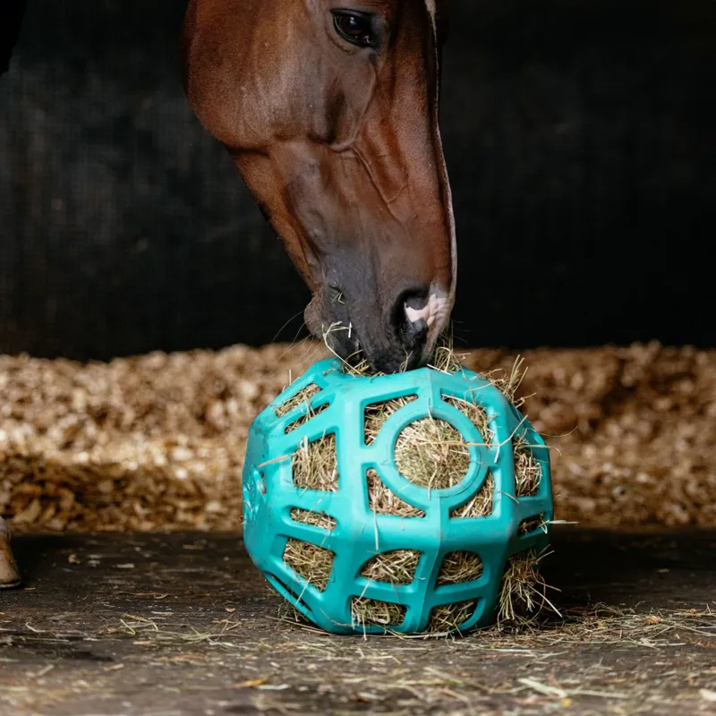 LeMieux Hay Ball  In Lagoon-1