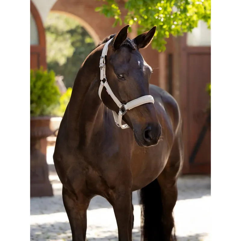 LeMieux Essence Headcollar In Stone-1