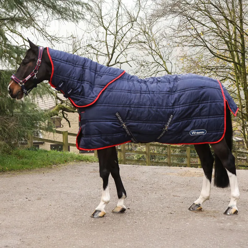 Whitaker Rastrick V2 250g Combo Stable Rug in Navy-1