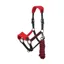 LeMieux Vogue Headcollar and Leadrope in Chilli