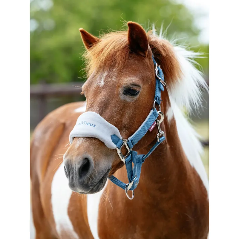 LeMieux Mini Vogue Headcollar and Leadrope in  Ice Blue-1