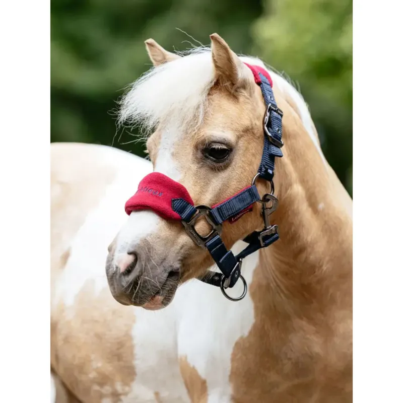 LeMieux Mini Vogue Headcollar and Leadrope in Burgundy-1