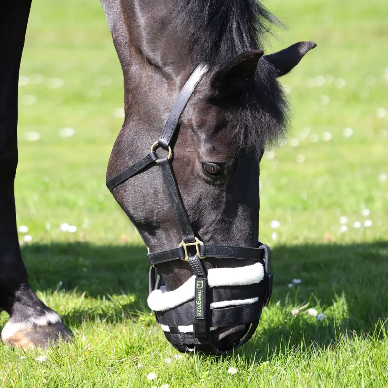 FreeGraze Deluxe AirFlow Detachable Grazing Muzzle in Black-4