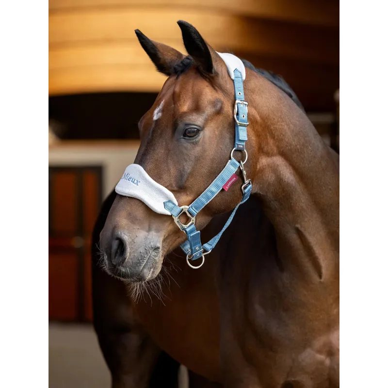 LeMieux Vogue Headcollar and Rope in Ice Blue-1
