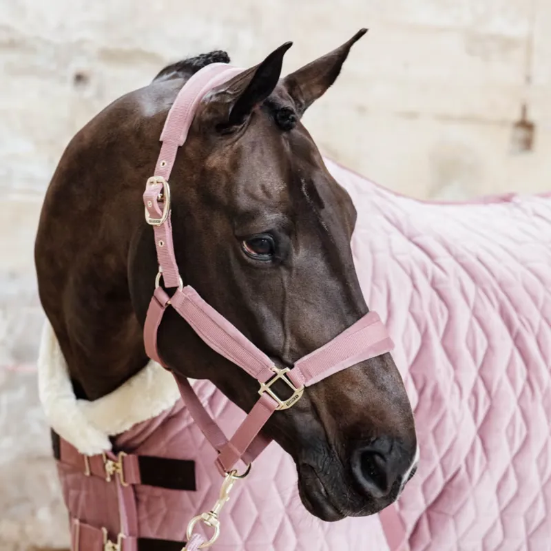 Kentucky Lead Rope Basic in Old Rose-1